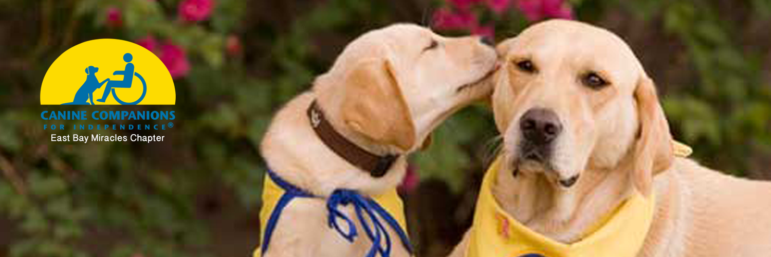 CCIEastBay's profile banner image