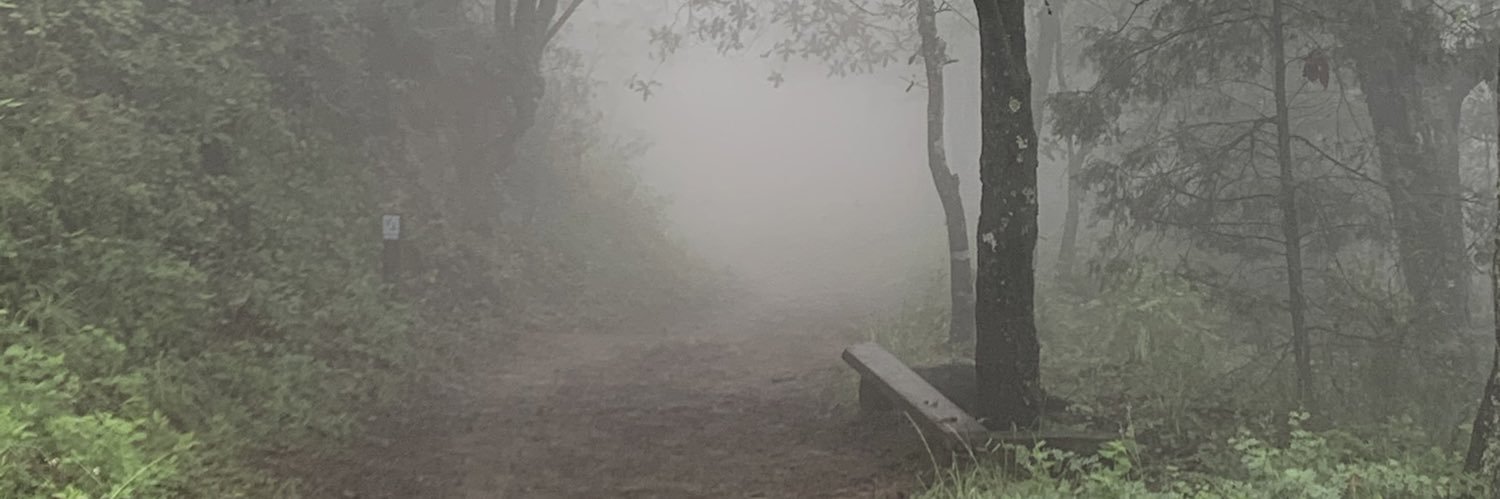 Gallyto's profile banner image