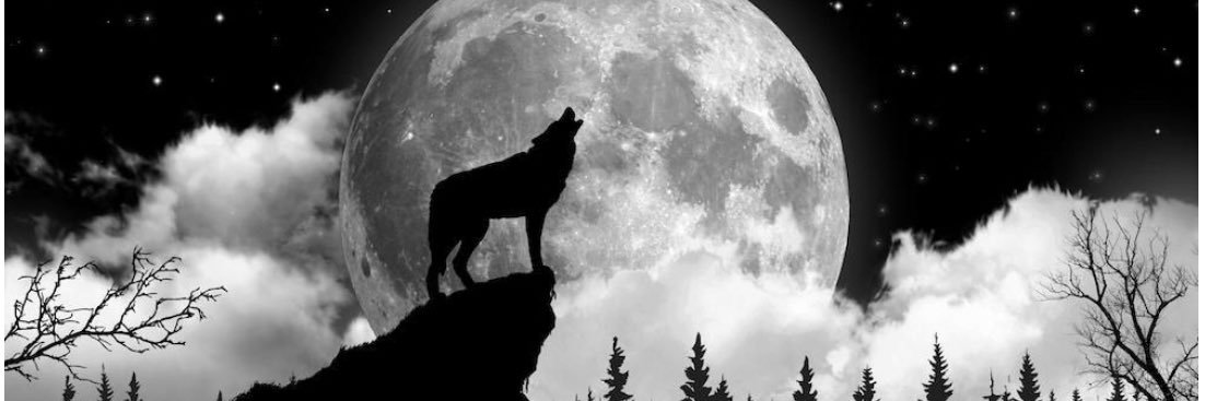 Ox1073's profile banner image
