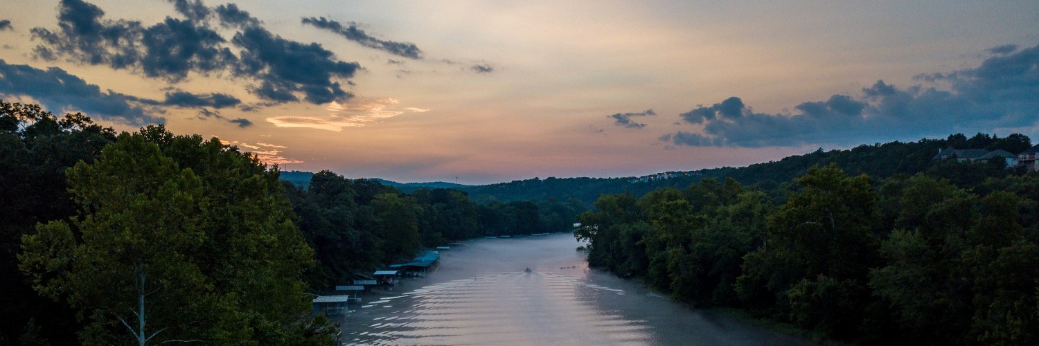 Missouri Green Party banner