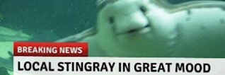 emmagelly's profile banner image