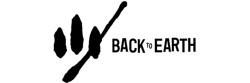 Back to Earth banner