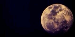 tuga_18's profile banner image