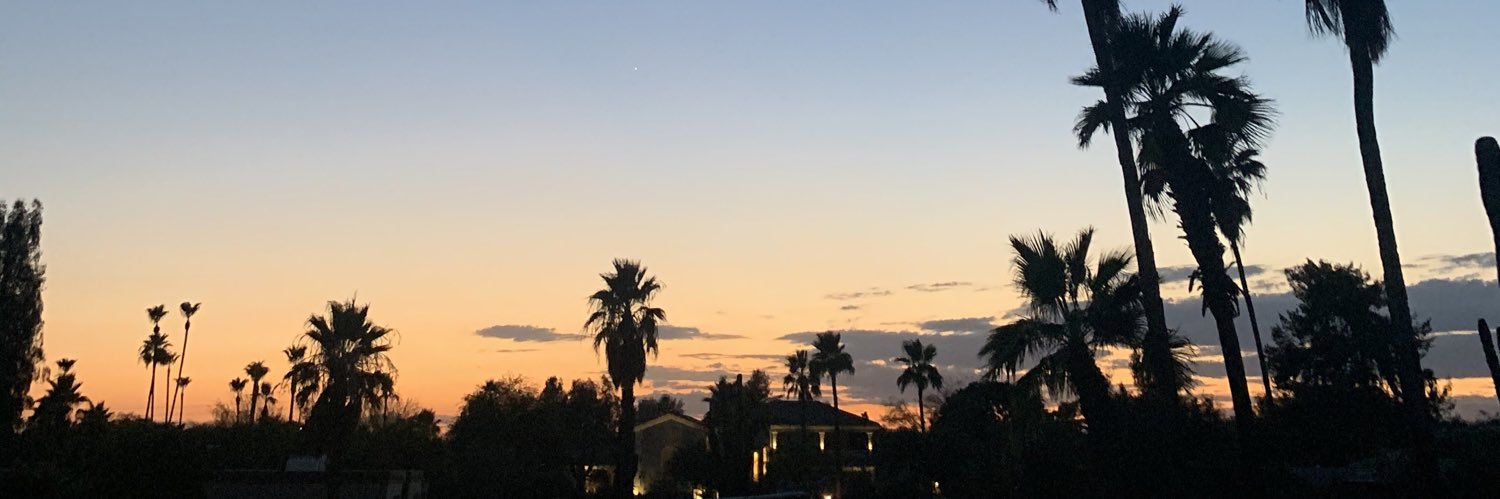 ReagsRenee's profile banner image