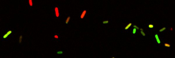 Jero_RB Profile Banner