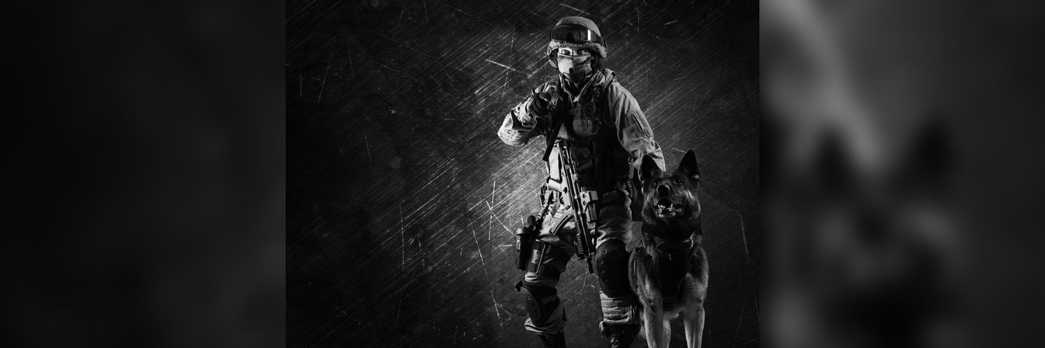 K9Andi's profile banner image