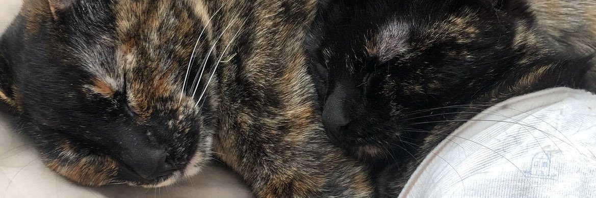 soofimazzieri's profile banner image