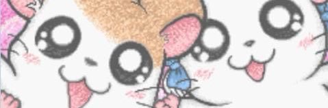 amanda 🧸 banner