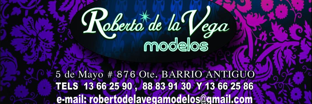 rdelavegamodels's profile banner image