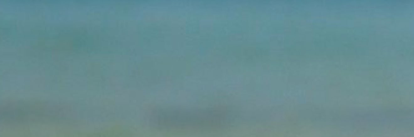 MaddieKate6's profile banner image
