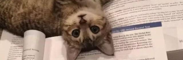 Meow Butler😼 banner