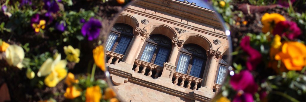 amordepecas's profile banner image
