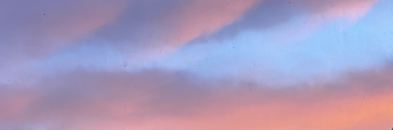SalomeHeyman's profile banner image