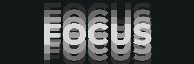 TheBlueLangoor's profile banner image