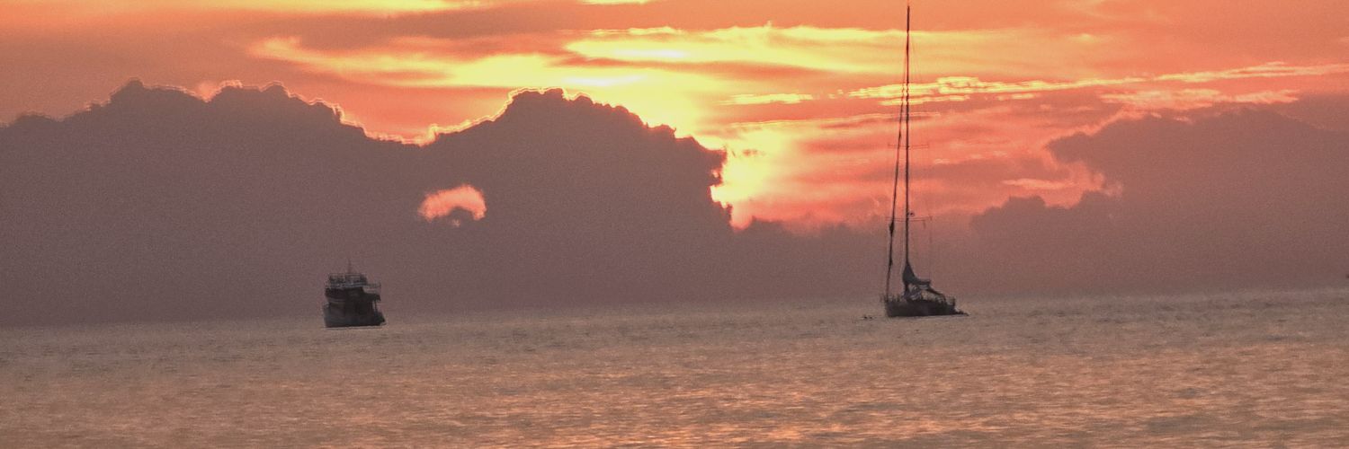 mantodarkso's profile banner image