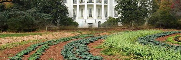 DCFoodRecovery Profile Banner