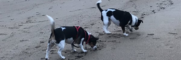 lmkrun Profile Banner