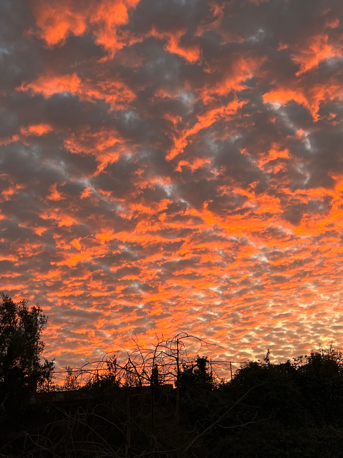 Jennifer Schwalbach Smith banner