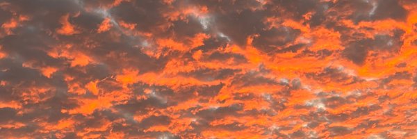 JenSchwalbach Profile Banner