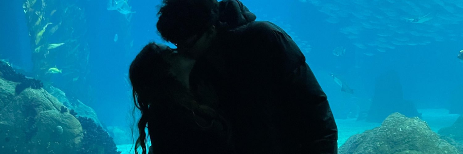 vpc__'s profile banner image