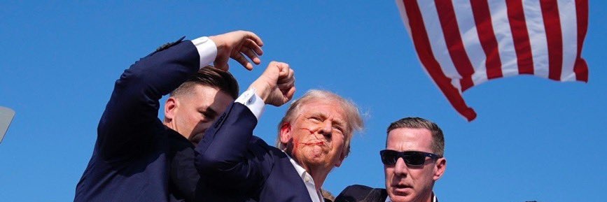 Whitney Nicole banner