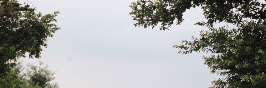 mahsamhmdyn's profile banner image