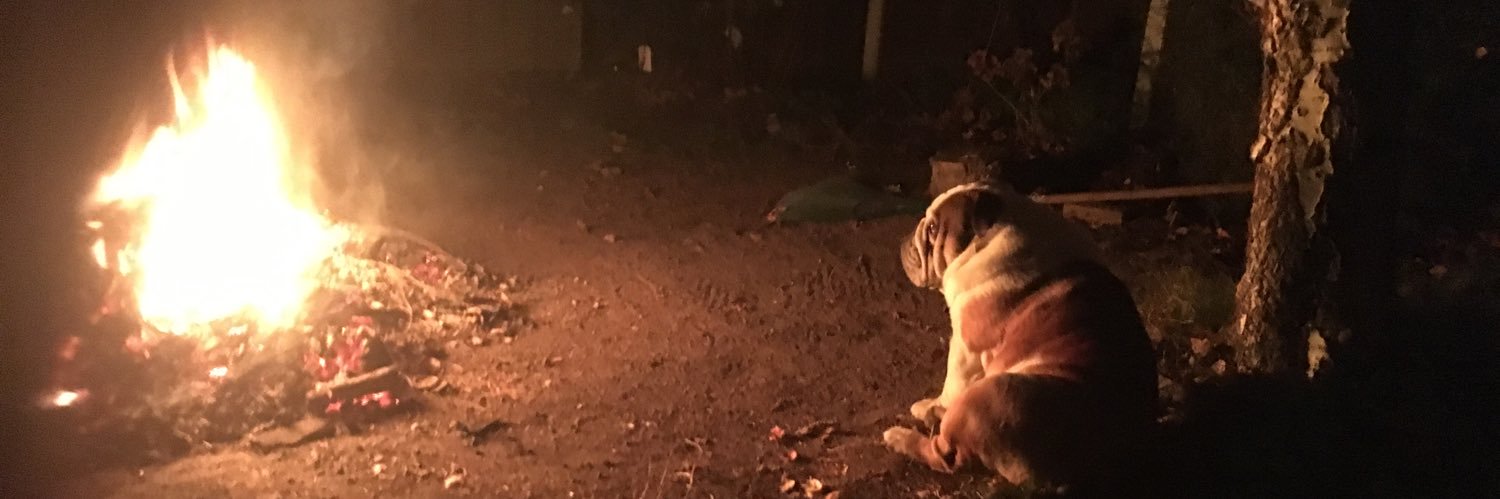 JBrynMills's profile banner image