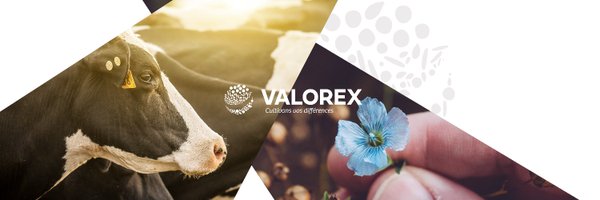 Valorex_ Profile Banner