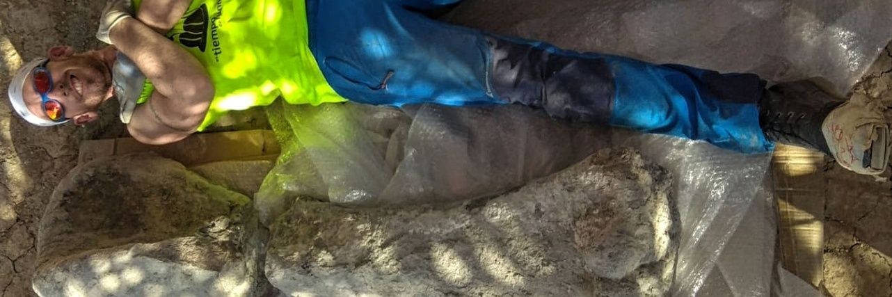 DiegMaister et al. banner