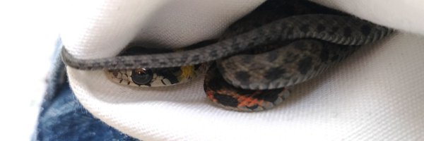 oga_yui_open Profile Banner