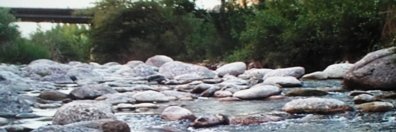 Brother Kenneth The Splendid banner