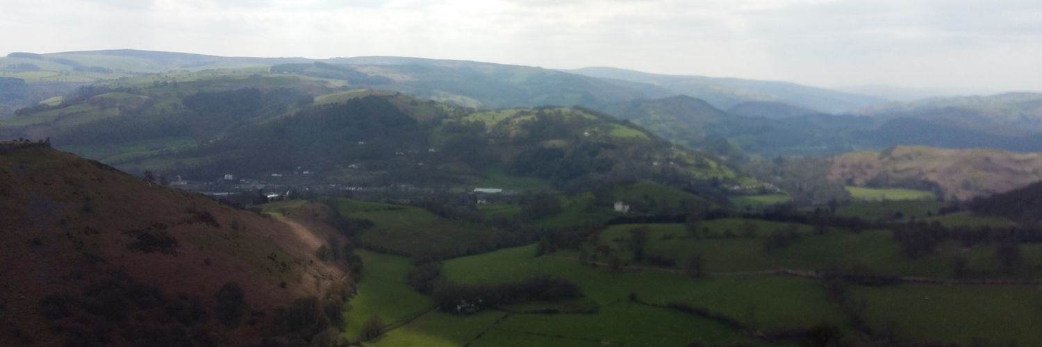 Lewis banner
