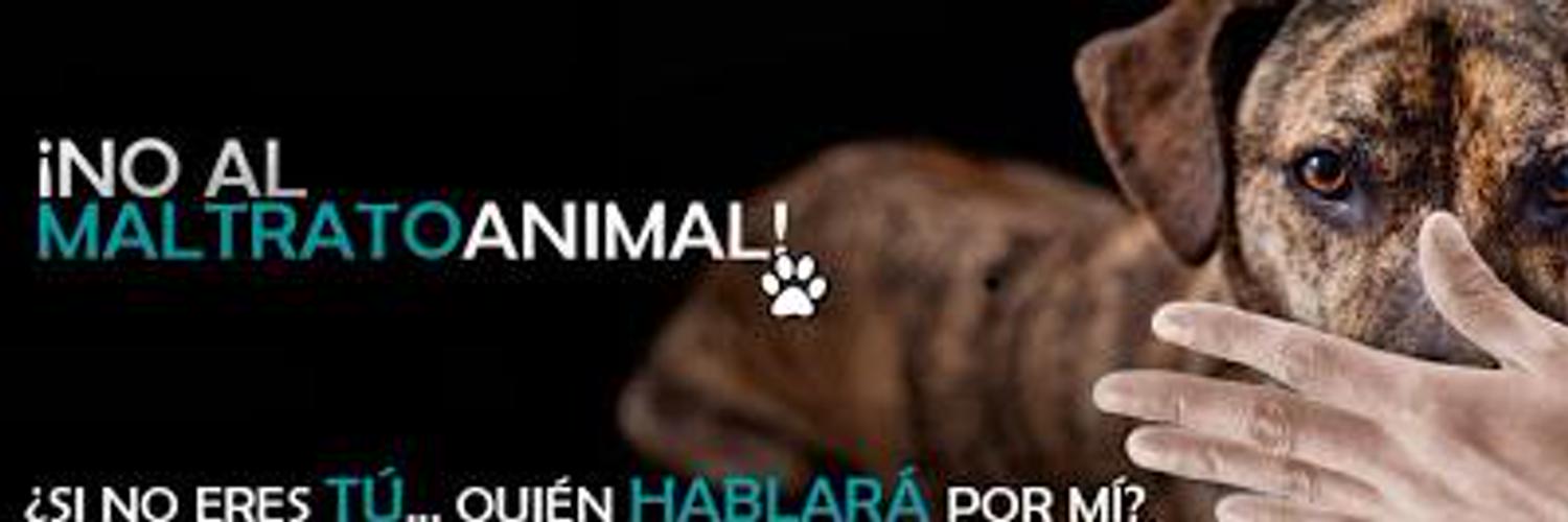 Anto_gi's profile banner image