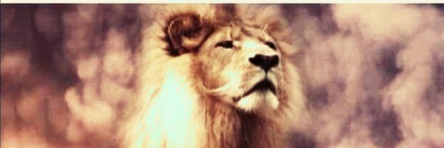 EL_Sammybaba's profile banner image
