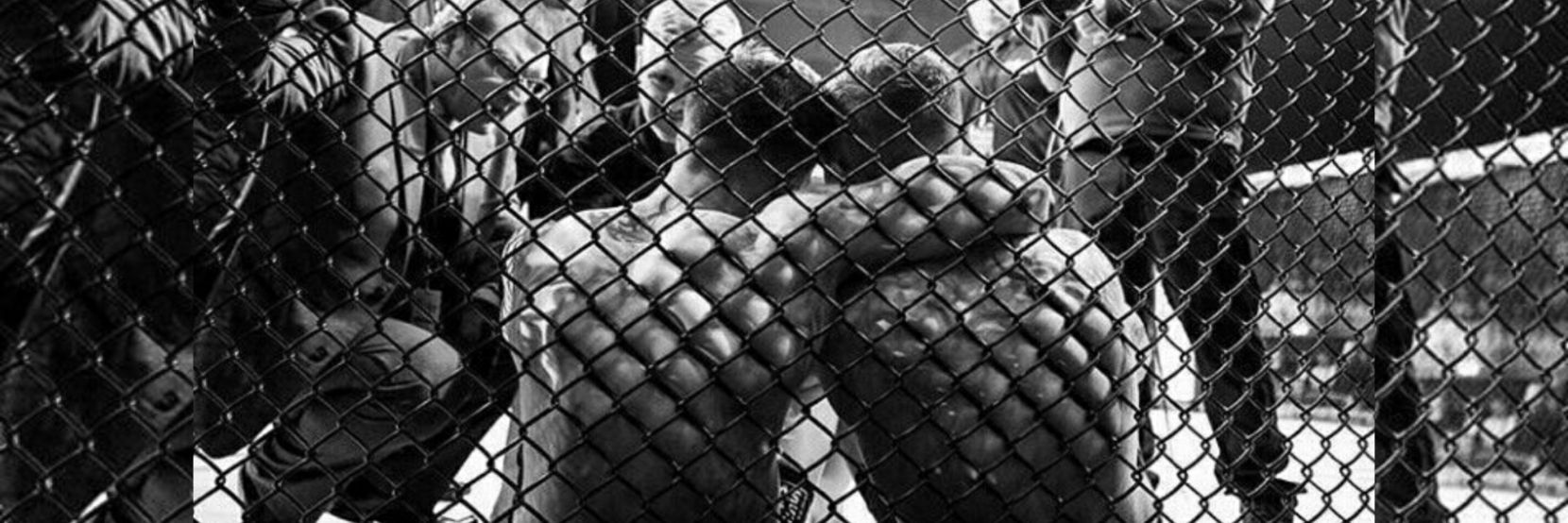 Andy Stevenson banner