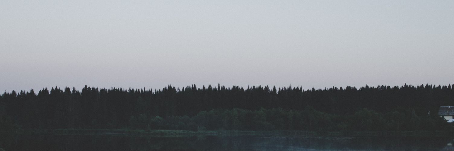 EHCmx10's profile banner image