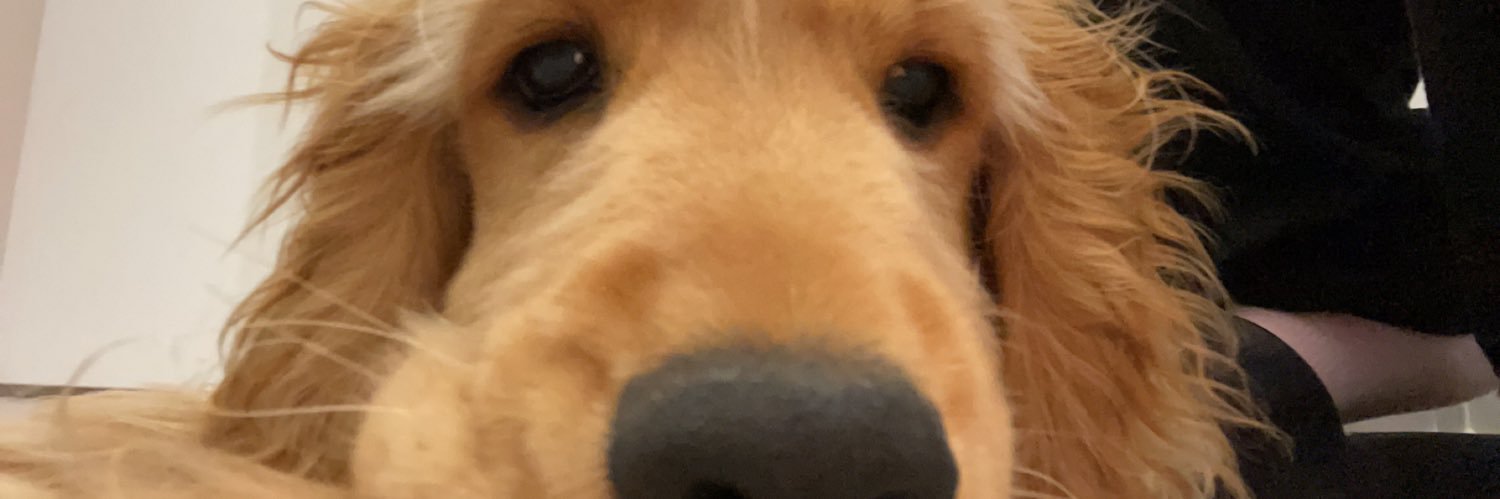 Luddingoodkin's profile banner image