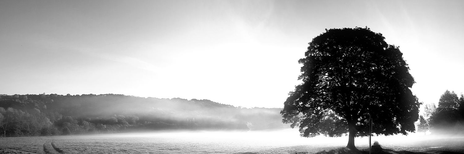 Heather Longbottom banner