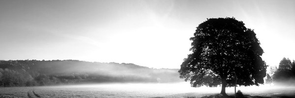 HebLongbottom Profile Banner