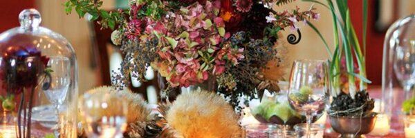 OneBigFish Profile Banner