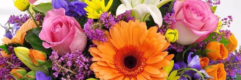 SeabrookFlowers's profile banner image