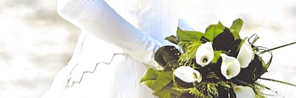 louuaud's profile banner image