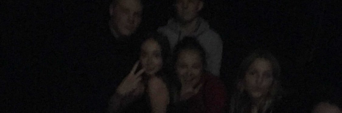 lilypayne02's profile banner image