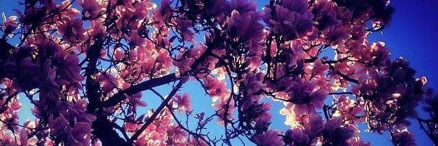 Quent C banner