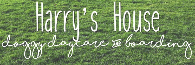 HarrysHouseDB's profile banner image