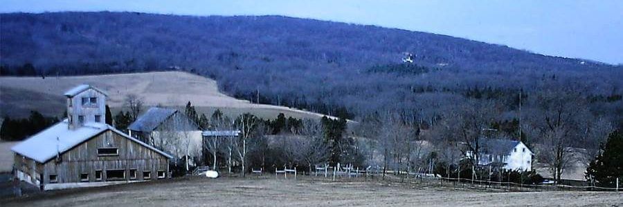 GreatBarnBeer's profile banner image