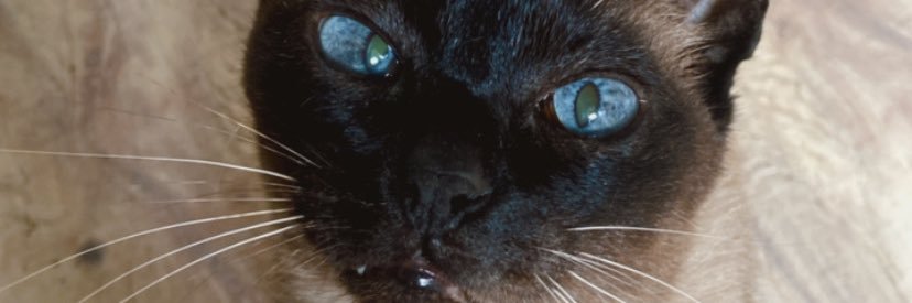 CreeamMaster's profile banner image