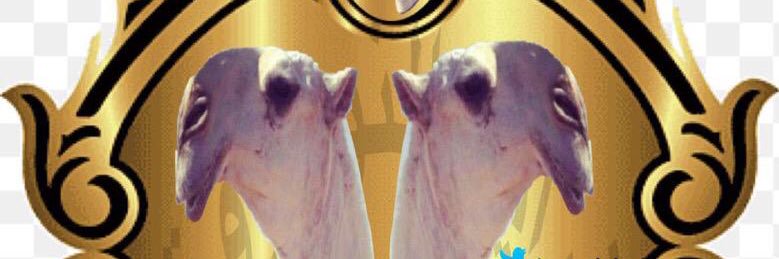 Agmalabal's profile banner image