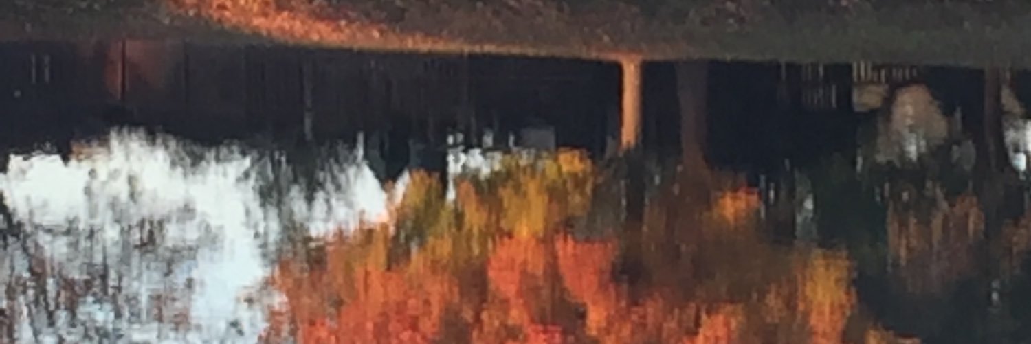 mike_mcnich's profile banner image