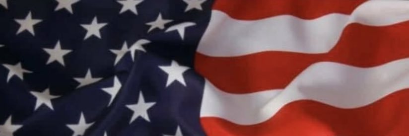 Sons of the Constitution banner